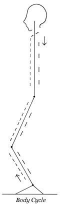 clark cycle
