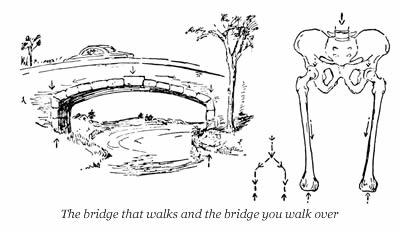 Todd bridge