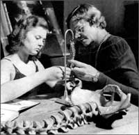 Sweigard's Life Magazine Photo 1941, thumbnail